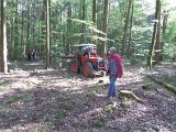 Maibaum_2016 (55).JPG